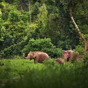 Thailand kort - lastminute vakantie aanbiedingen