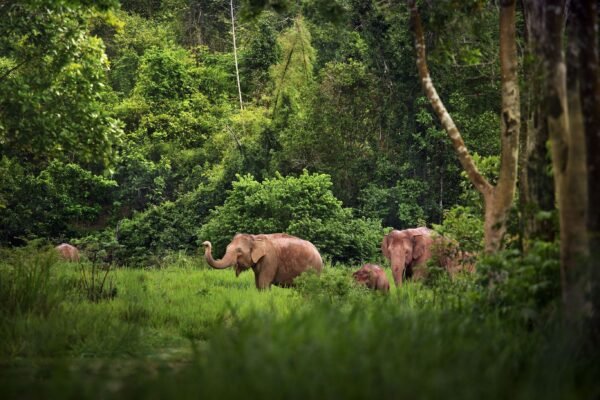 Thailand kort - lastminute vakantie aanbiedingen