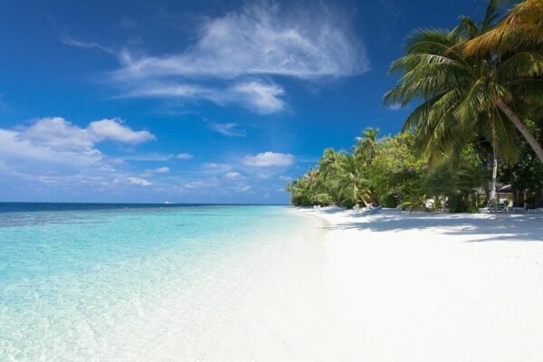 Tropische stranden op de Malediven - lastminute vakantie aanbiedingen