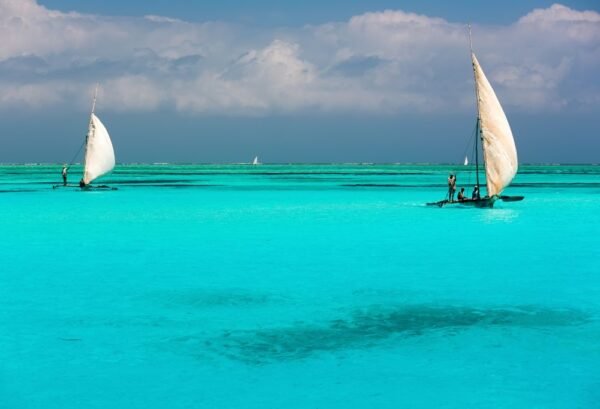 Ultiem Safari & Strand Tanzania Deluxe - lastminute vakantie aanbiedingen