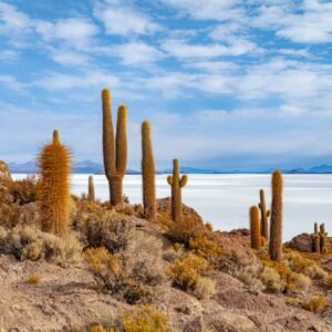 Uyuni zoutvlakte - lastminute vakantie aanbiedingen