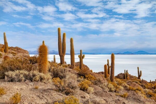 Uyuni zoutvlakte - lastminute vakantie aanbiedingen