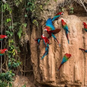 Van de Hooglanden tot de Jungle van Peru - lastminute vakantie aanbiedingen