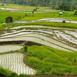 Veelzijdig West-Sumatra - lastminute vakantie aanbiedingen