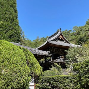 Wandeling langs de pelgrimsroute op Shikoku - lastminute vakantie aanbiedingen