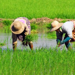 Werelderfgoed Pyay en Bagan - lastminute vakantie aanbiedingen