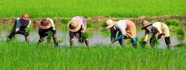 Werelderfgoed Pyay en Bagan - lastminute vakantie aanbiedingen