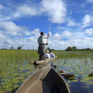 Woestijn en Waterland safari - lastminute vakantie aanbiedingen