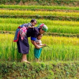 Bergstammen en natuur bij Sapa - lastminute vakantie aanbiedingen