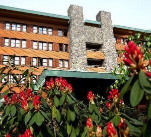 Busreis Disney Sequoia Lodge *** - Magisch Arrangement - lastminute vakantie aanbiedingen