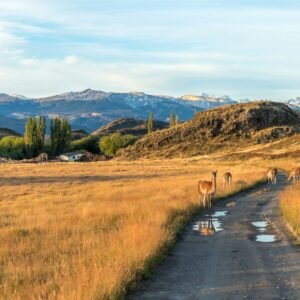 Carretera Austral - lastminute vakantie aanbiedingen
