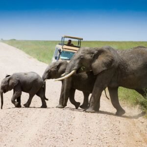 De Highlights van Noordelijk Tanzania Superior - lastminute vakantie aanbiedingen