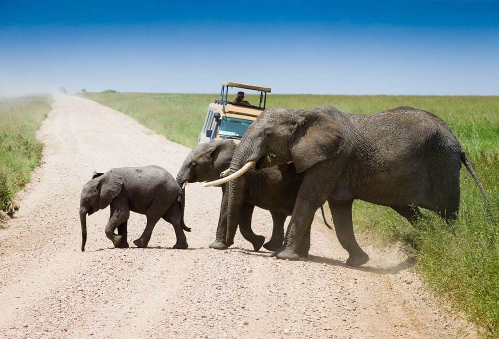 De Highlights van Noordelijk Tanzania Superior - lastminute vakantie aanbiedingen