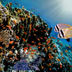 Exotisch avontuur naar Addu - lastminute vakantie aanbiedingen