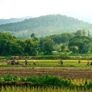 Going local in Oost-Thailand - lastminute vakantie aanbiedingen