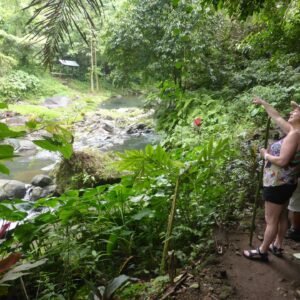 Het onontdekte paradijsje van Sambangan - lastminute vakantie aanbiedingen