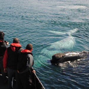 In onze zomer naar Argentinië - lastminute vakantie aanbiedingen
