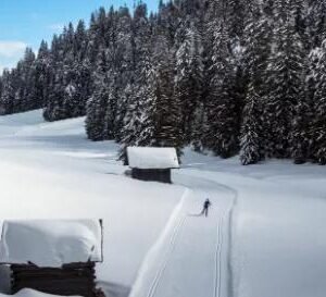 Langlauf- en wandelreis Kartitsch in Ost-Tirol - lastminute vakantie aanbiedingen