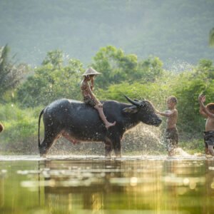 Laos Compleet - lastminute vakantie aanbiedingen