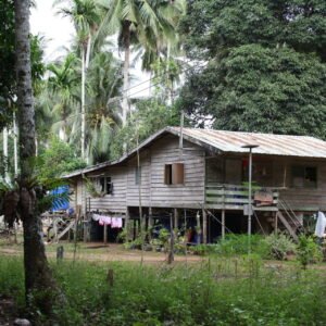 Ongerepte jungle in zuid-Sarawak - lastminute vakantie aanbiedingen