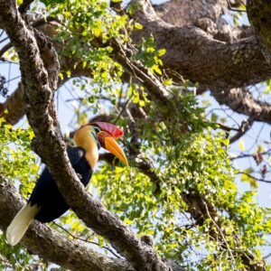 Ontdek Noord-Sulawesi - lastminute vakantie aanbiedingen