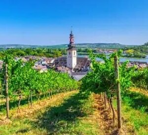 Riviercruise Beleef de Rijnromantiek naar Rüdesheim - lastminute vakantie aanbiedingen