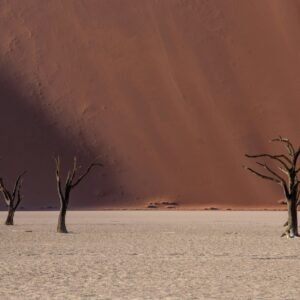 Sossusvlei Symfonie - lastminute vakantie aanbiedingen