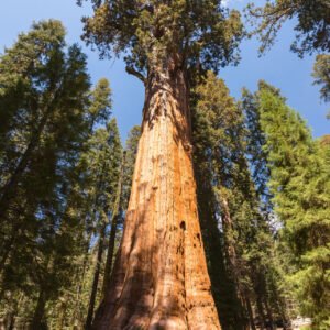 Steden en parken in het zuidwesten - lastminute vakantie aanbiedingen