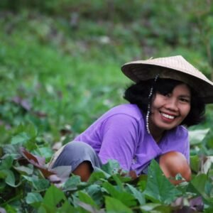 Traditioneel Sulawesi - lastminute vakantie aanbiedingen