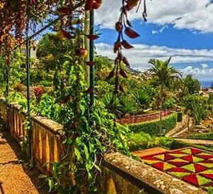 Cruise Canarische eilanden