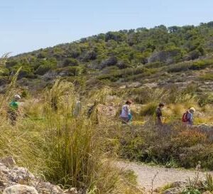 Wandel 4-daagse Marbella Hotel Monarque El Rodeo - lastminute vakantie aanbiedingen