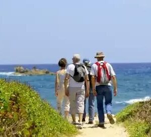 Wandel 4-daagse Marbella Hotel Monarque El Rodeo - lastminute vakantie aanbiedingen